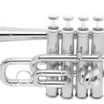 BACH 196.
