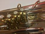 MIRAPHONE Petrushka