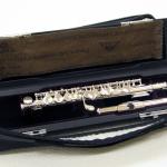 SANKYO P301